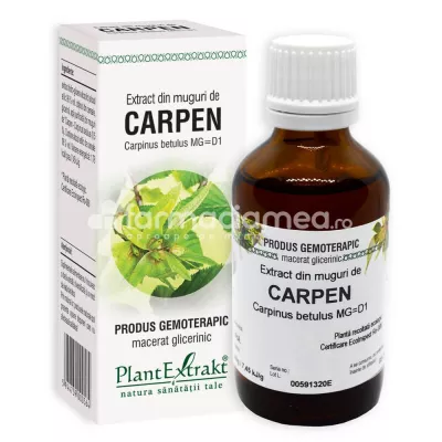 Extract muguri carpen, 50 ml, PlantExtrakt
