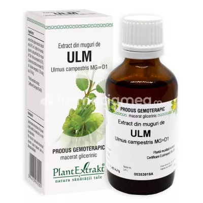 Extract muguri ulm, 50 ml, PlantExtrakt