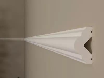 BRAU POLIMER DUR CHP2040 20X40MM 2ML