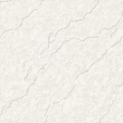 GRESIE INDIA CL-1025 SS 60 x 60 cm