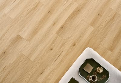 PARDOSEALA SPC AFIRMAX LEGNAR CLE 41532 ARVADA OAK