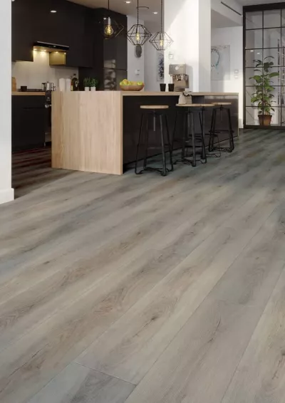 PARDOSEALA SPC ARBITON AMARON CA115 OREGON OAK