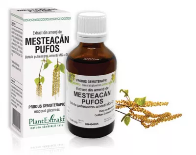 Extract amenți mesteacăn pufos (Betula pubescens) 50ml, PlantExtrakt