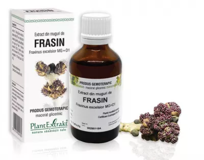 Extract muguri frasin (Fraxinus excelsior) 50ml, PlantExtrakt