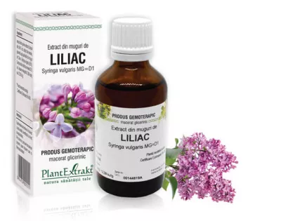 Extract muguri liliac (Syringa vulgaris) 50ml, PlantExtrakt