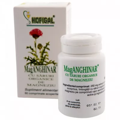 Mag-Anghinar, 60 comprimate, Hofigal