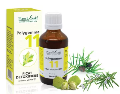 Polygemma 11, Ficat detoxifiere, 50ml, PlantExtrakt