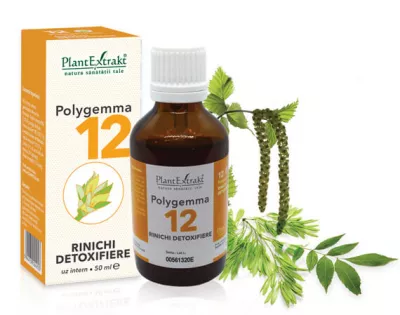 Polygemma 12, Rinichi detoxifiere, 50ml, PlantExtrakt