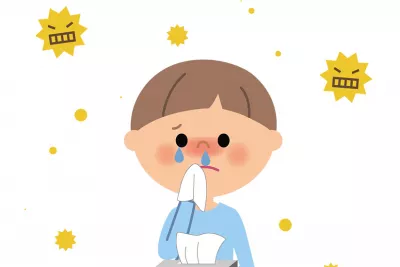 Rinita alergica