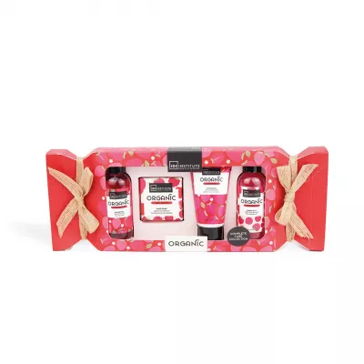 Set cadou femei AQ-42123