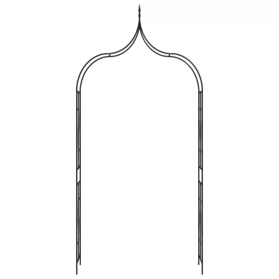 Arcadă de grădină, negru, 120 x 38 x 258 cm, fier
