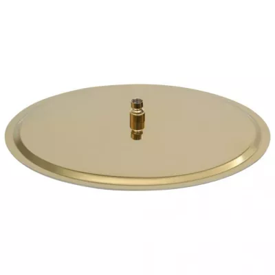 Cap de duș tip ploaie rotund, auriu, 50 cm, oțel inoxidabil