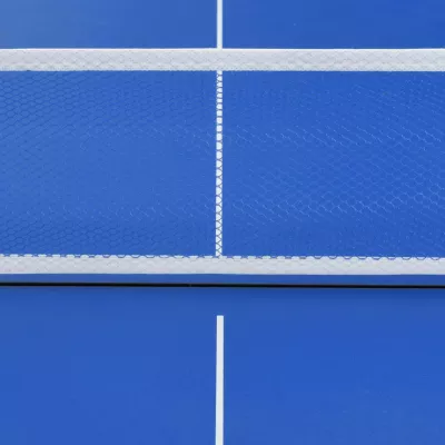 Masă de ping pong cu fileu, albastru, 152 x 76 x 66 cm