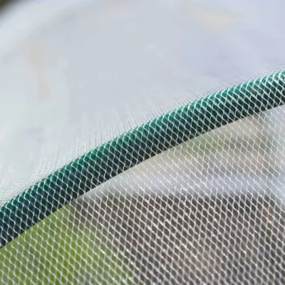 Nature Plasă anti-insecte, transparent, 2 x 10 m