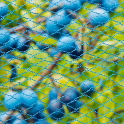 Nature Plasă anti-păsări Nano, 5 x 4 m, albastru