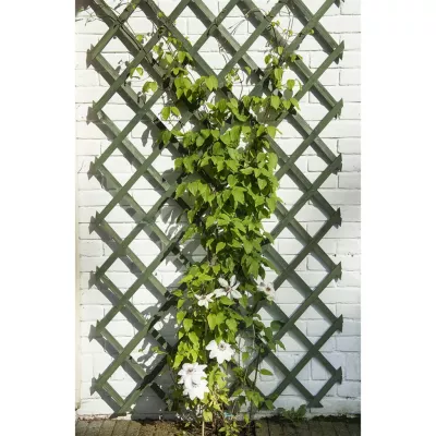 Nature Spaliere de grădină, 2 buc., verde, 50 x 150 cm, lemn