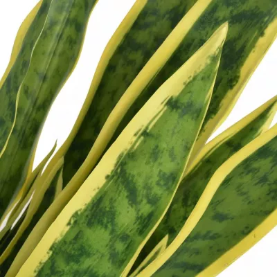 Plantă artificială Limba-soacrei cu ghiveci, 65 cm, verde