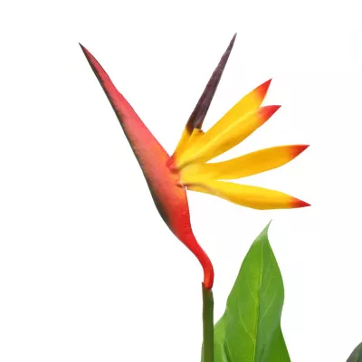 Plantă artificială Strelitzia Reginae Pasărea paradisului 55 cm