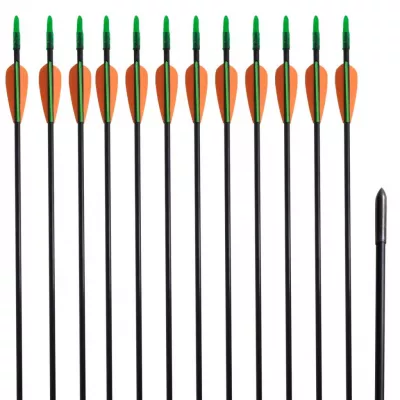 Săgeți pentru arc recurv 30", 0,6 cm, fibră de sticlă, 12 buc