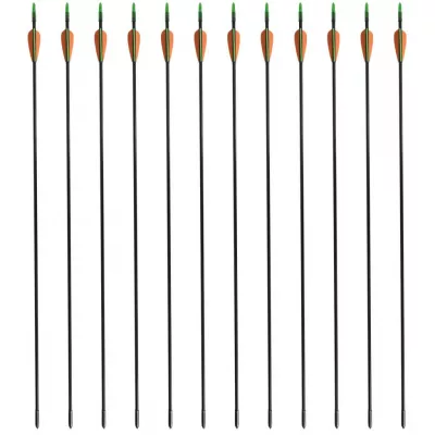 Săgeți pentru arc recurv 30", 0,6 cm, fibră de sticlă, 12 buc