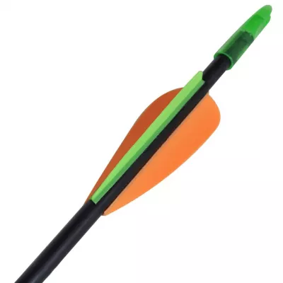 Săgeți pentru arc recurv 30", 0,6 cm, fibră de sticlă, 12 buc