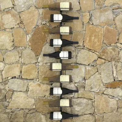 Suporturi sticle de vin de perete 10 sticle negru metal