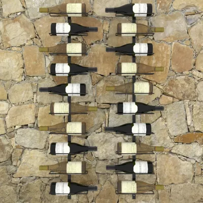 Suporturi sticle de vin de perete 20 sticle 2 buc. negru metal