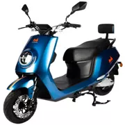 Vehicule electrice