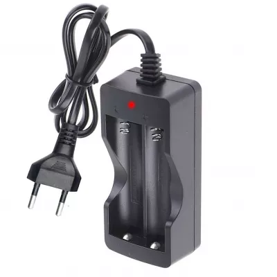 Incarcator Li-Ion 3.7V cu 2 Canale de Incarcare, Incarca cu 500mA, TED Electric TL-C001