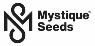 Mystique Seeds