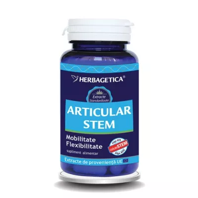 Articular Stem x 60cps (Herbagetica)