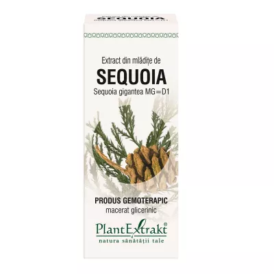 Extract din mladite de sequoia, 50 ml, Plantextrakt
