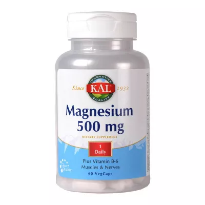 Magnesium 500mg, 60cps Kal SECOM