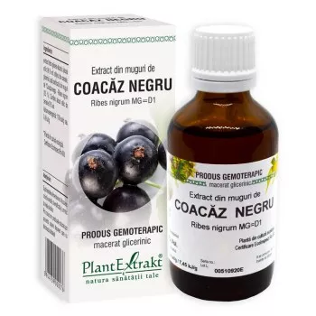 Extract din muguri de coacăz negru - Ribes nigrum (PlantExtrakt)