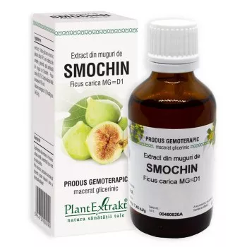 Extract din muguri de smochin - Ficus carica MG=D1 (PlantExtrakt)