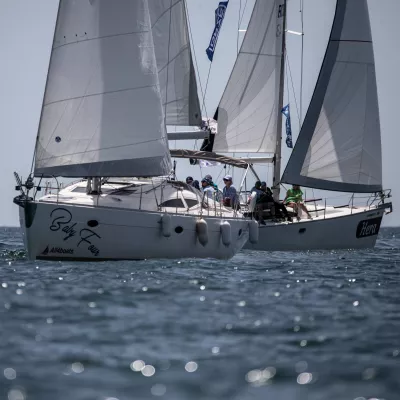 Curs introductiv de Sailing | 1 zi | Limanu