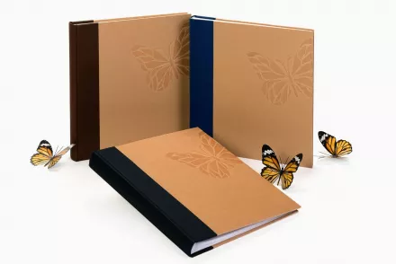 Album 60 pagini (29x32) Big Butterfly