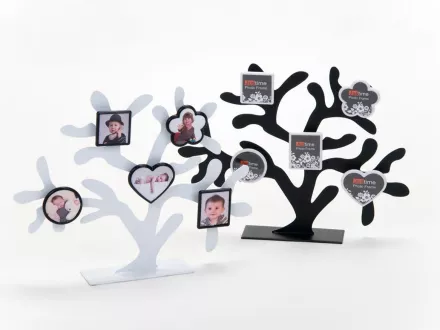 Family Tree 5 poze / white