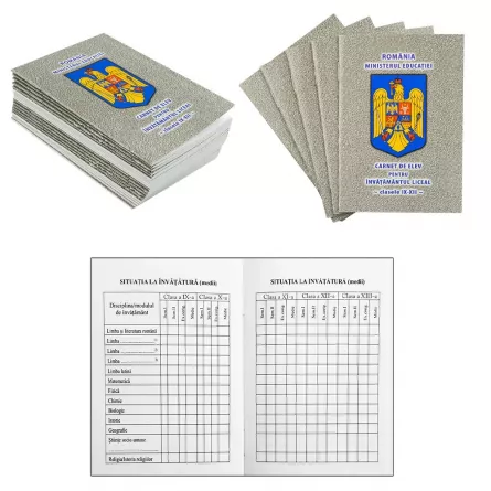 Carnet de elev clasele IX-XII - NEBO, [],catemstore.ro