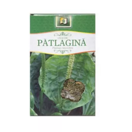 Ceai Patlagina, 50 g, Stef Mar, [],farmacieieftina.ro