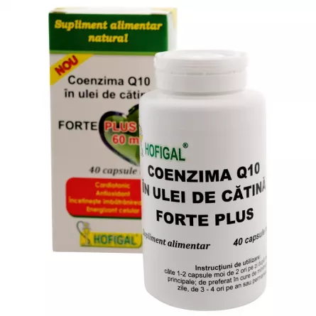Coenzima Q10 In Ulei de Catina Forte Plus 60mg, 40 Capsule, Hofigal, [],farmacieieftina.ro