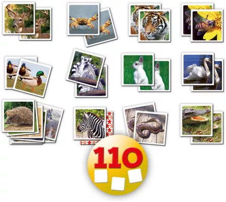 Joc de memorie cu 110 carduri - Găsește perechea, [],edituradiana.ro