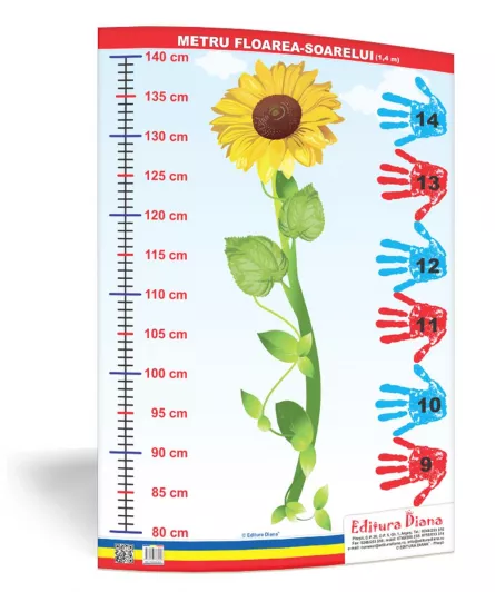 Metru floarea-soarelui 1,4 metri - planșă 50x70 - Proiecte Tematice, [],edituradiana.ro