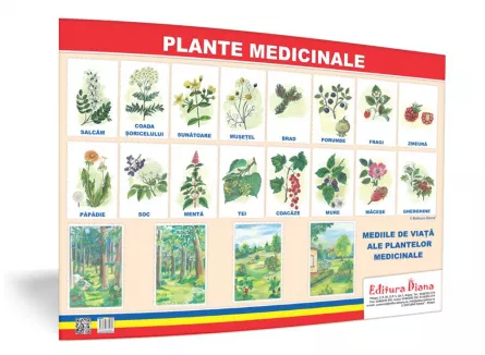 Plante medicinale - planșă 50x70 - Proiecte Tematice, [],edituradiana.ro