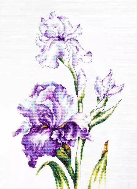 Set broderie cu ață și ac - Flori de iris, [],edituradiana.ro