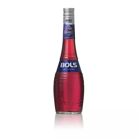 BOLS SLOE GIN 0.7L 33%, [],https:beicevreipro.ro