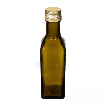 Sticla 100 ml PP 24 mm Olive, [],borcane.ro