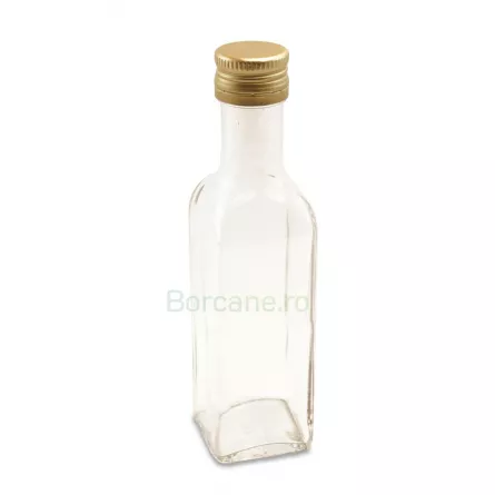 Sticla 100 ml Cognac Flint  PP 24, [],borcane.ro