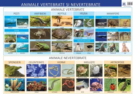 Animale vertebrate si nevertebrate, [],edituradph.ro