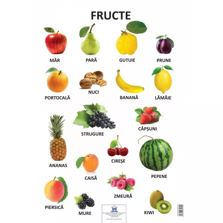 Plansa - Fructe, [],https:edituradph.ro